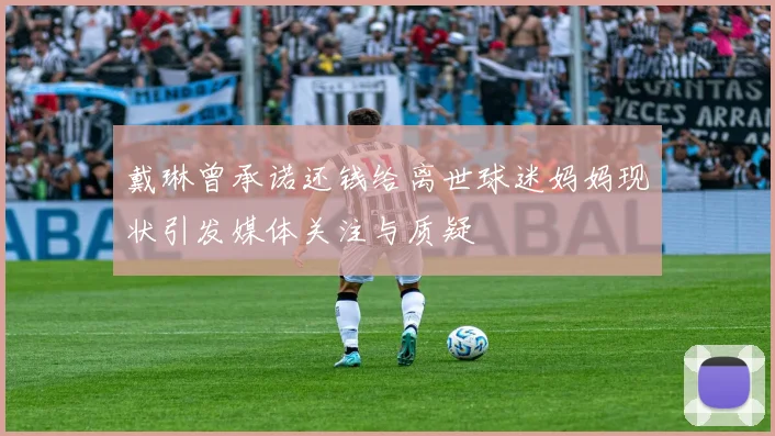 戴琳曾承诺还钱给离世球迷妈妈现状引发媒体关注与质疑