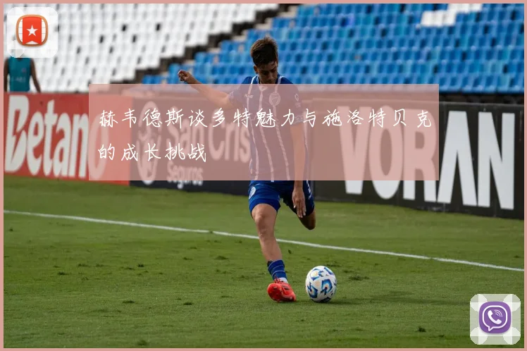 赫韦德斯谈多特魅力与施洛特贝克的成长挑战
