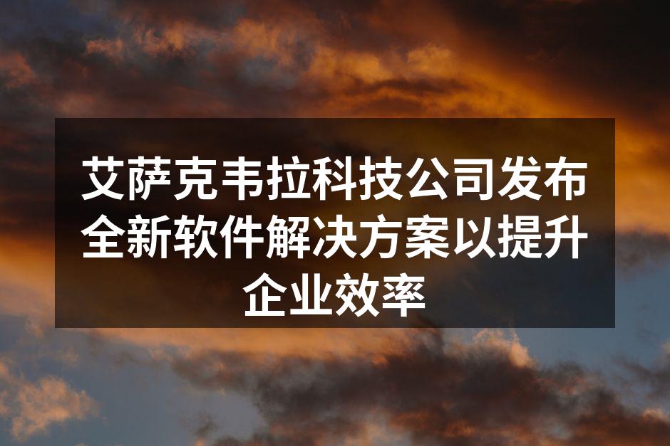 新软件解决方案发布会现场